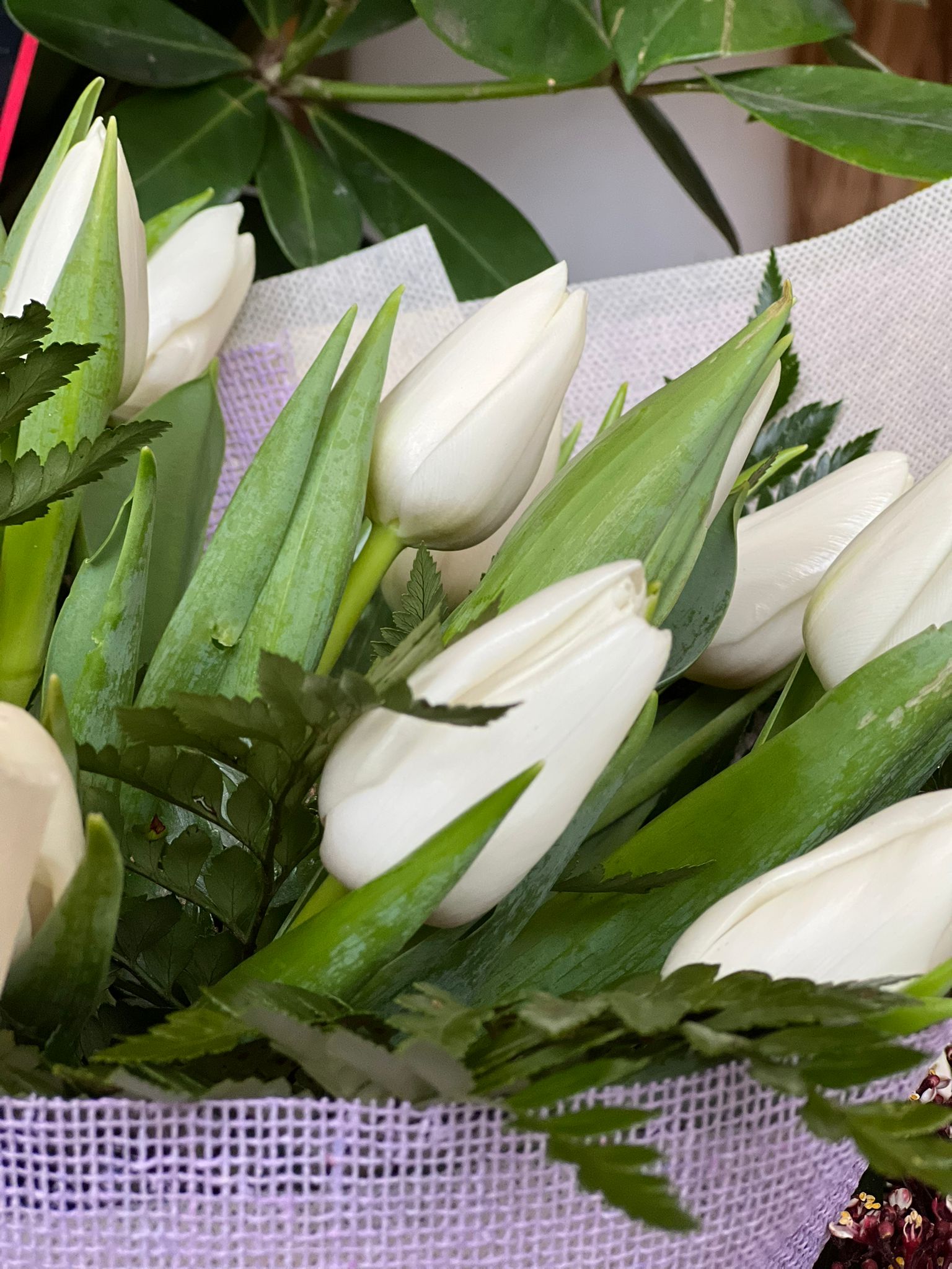 Bouquet Tulipani Bianchi - immagine 3